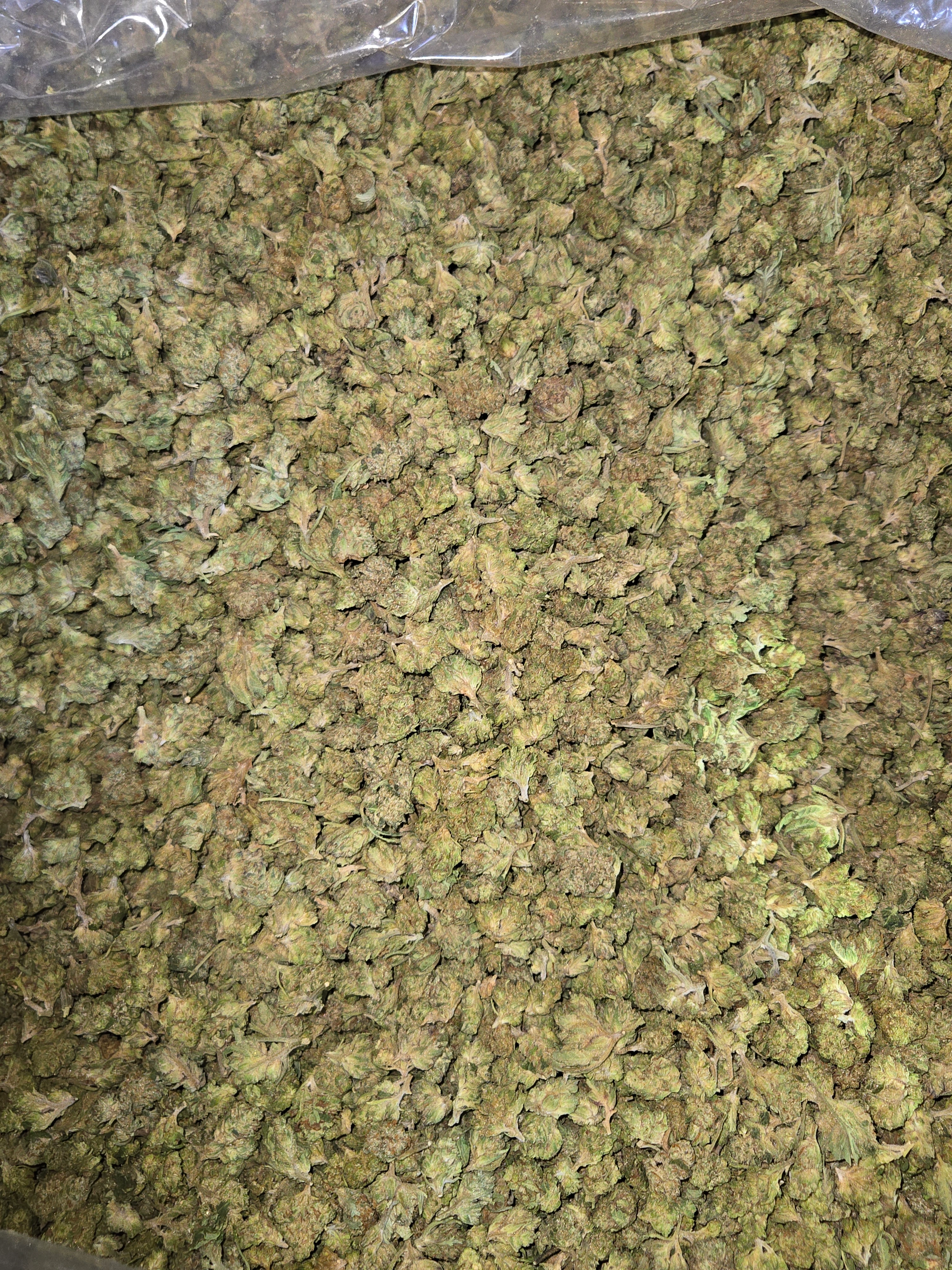 Blue Dream Smalls Flower